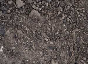 sandy-loam-copy